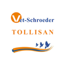 Tollisan