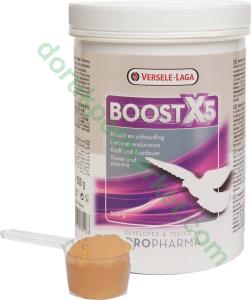 Versele Laga Boost X 5 (Yarış Güv.Güç İçin)500 Gr - Versele-Laga