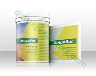 Belcıga De Weerd BelgaBac 300 gr BİLGİLENDİRME AMAÇLIDIR - Belgica De Weerd