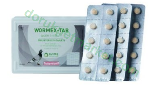 Pantex Holland Wormex Tab 10 Tablet(100 Hap) BİLGİLENDİRME AMAÇLIDIR - Pantex Holland