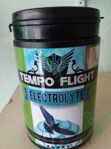 Tempo Flıgt Electrolyte 500 gr - Tempo Flight